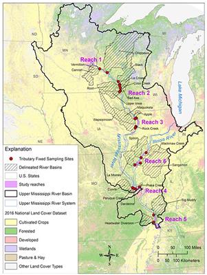 Exploring Silica Stoichiometry on a Large Floodplain Riverscape